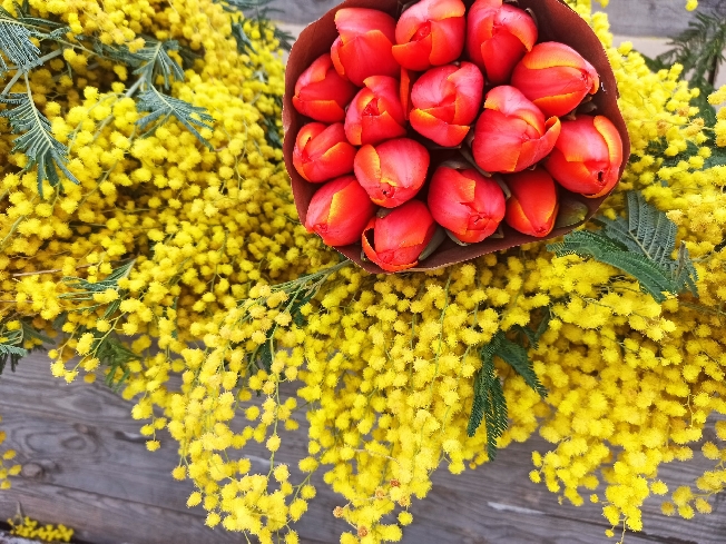 �� +15 �������� ��������� ������� ���������� ������� � �������� �����