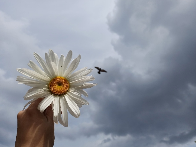 � ���������� ������� ����� ���� ������ ����� ������ 