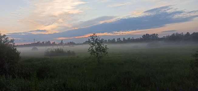 3 июля Ивановская область ждёт ливневую грозу с порывами ветра до 17 м/с