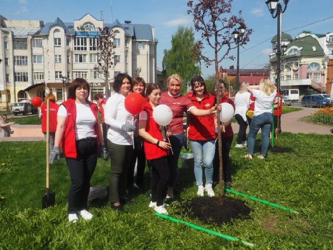 Декоративные яблони зацветут в центре Иванова