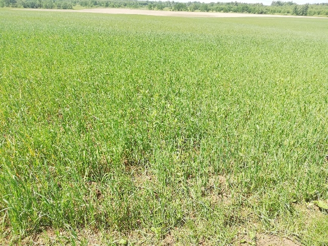 ���-������������ ������� � ������� �������� ���� ���������� ���������� ����� � �������