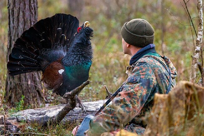 В Ивановской области стартует сезон весенней охоты