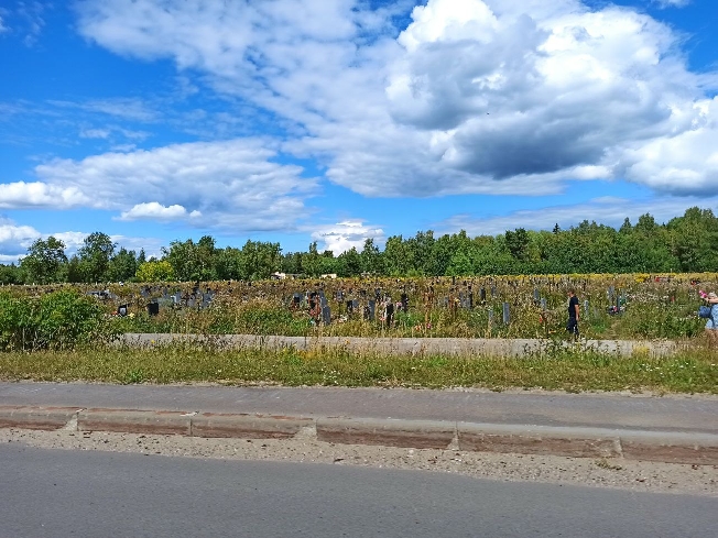 Вопрос со строительством кладбища в Ивановском районе закрыт