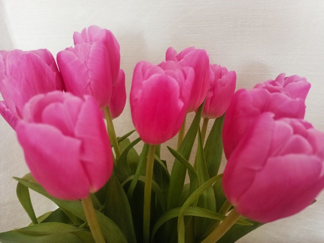 ���������� ����� ��������� � ���������� ������� 