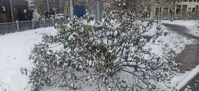 Ивановский ноябрь резко повернёт курс на лето 