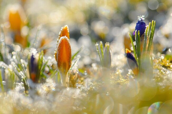 В Ивановскую область заглянула весна
