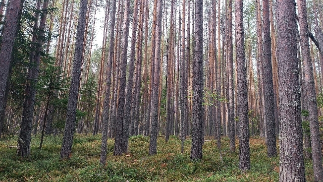 � ���������� ������� ��������������� ����� ��������� ������ �����