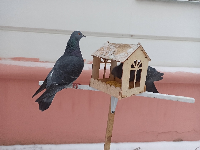 ������� ������� ��������� �� ��������� ������� �� ������