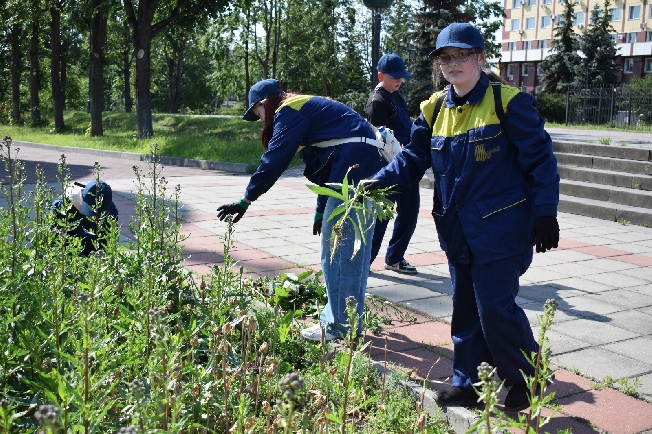 Первая группа ивановских подростков заработала по 8 500 рублей