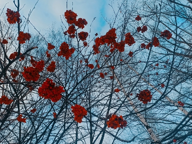 Ивановские бойцы Воробьёв, Кузнецов и Киселёв погибли в зоне СВО