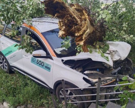 В Нижнем Новгороде пьяный ивановец насмерть сбил пешехода