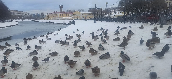 � ��������������� ���������� ������� �������� ������� ������ ������ �� ��