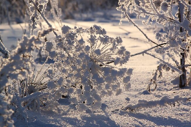 Морозы до минус 34 градусов ожидают в Ивановской области