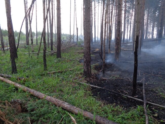 Лесные пожары бушуют в 6 муниципалитетах Ивановской области
