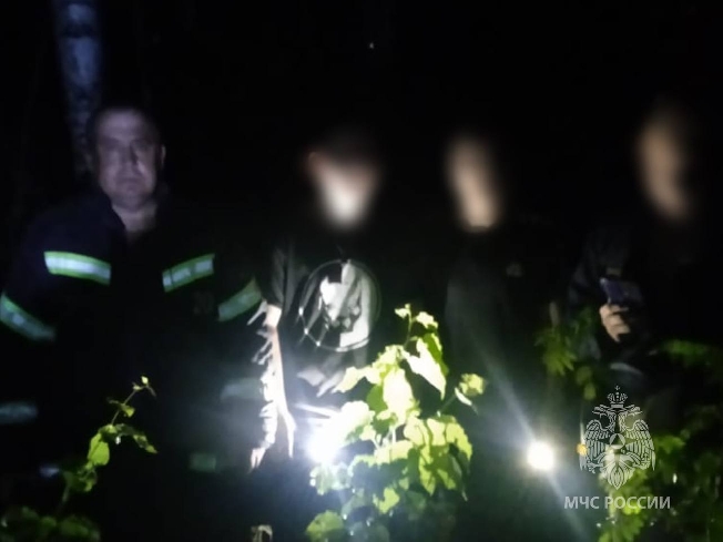 В лесу заблудились трое ивановских подростков