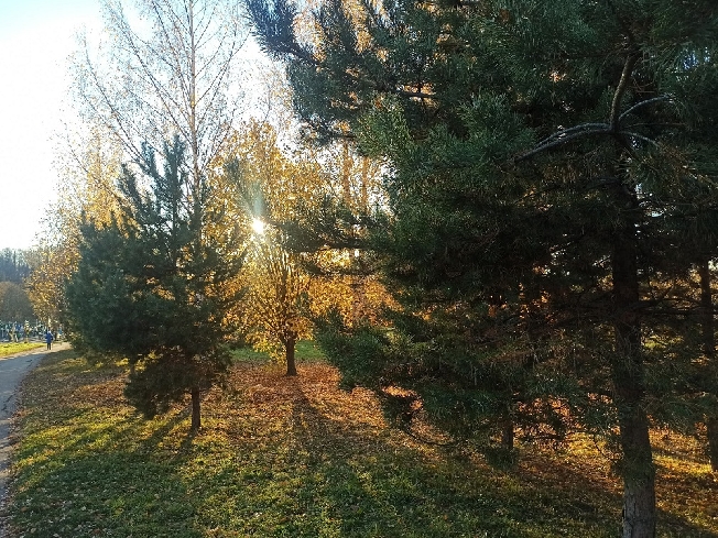 Аномальное тепло обрушилось на Ивановскую область