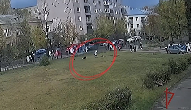 Сняли на камеру нападение собак на ученицу школы №66 в Иванове
