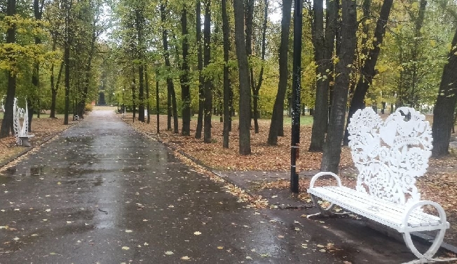 Аномальное тепло обрушится на Ивановскую область 6 ноября