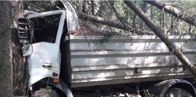 В Ивановской области грузовик вылетел с дороги и въехал в деревья