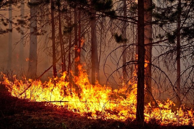 В Ивановской области продлили особый противопожарный режим