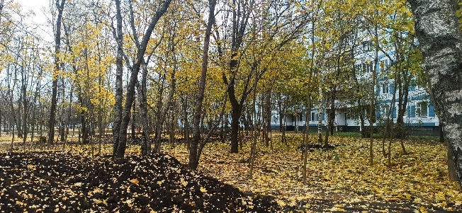 На Ивановскую область 23 октября обрушится мощный мокрый снегопад