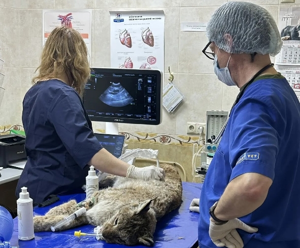 ��������� � ���������� ������� ���� ����������� � ������