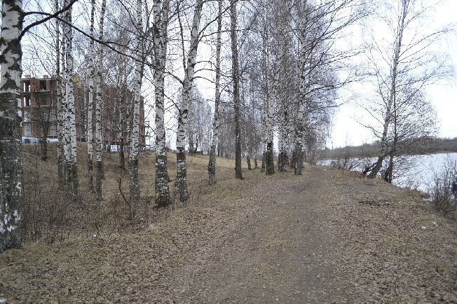 � ���������� ����������� ������ �������� ����������