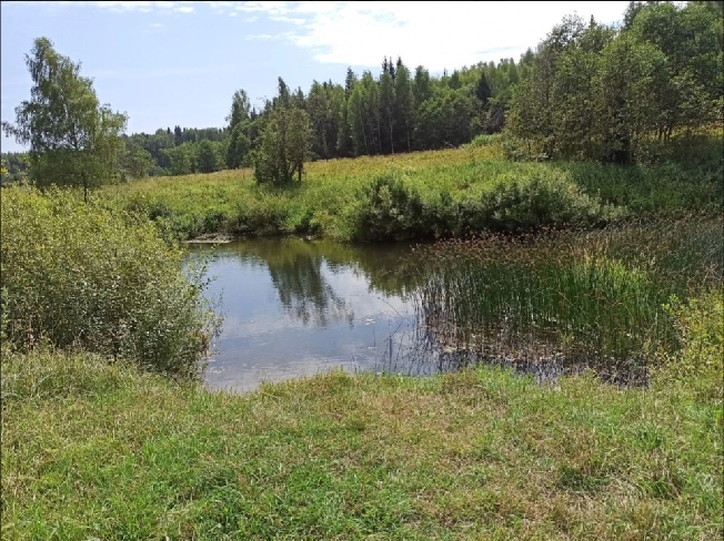 Что в июне ждёт жителей Ивановской области