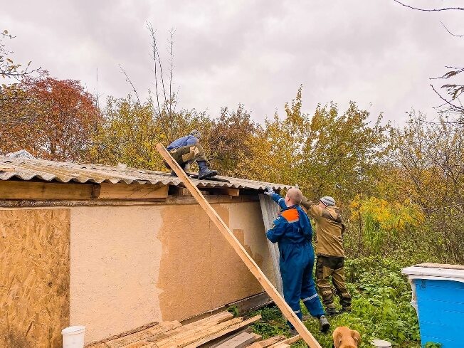 Сотрудники МЧС в Ивановской области спасли животных из приюта