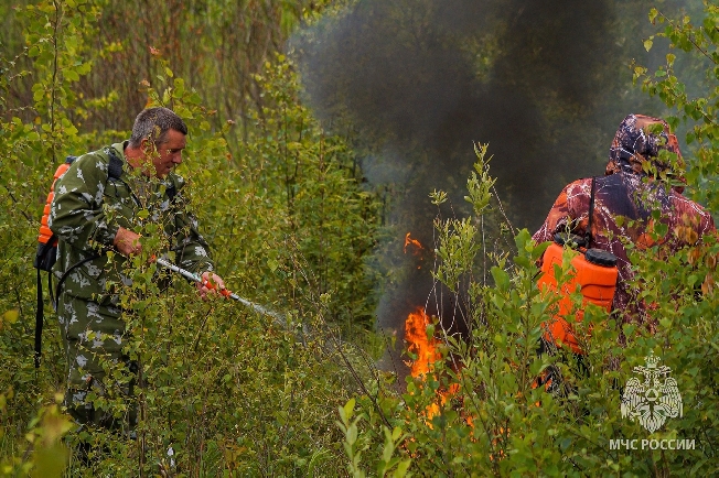 Особый противопожарный режим с 15 июля вводят в Ивановской области