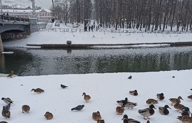 В Ивановской области зафиксировали ночные заморозки