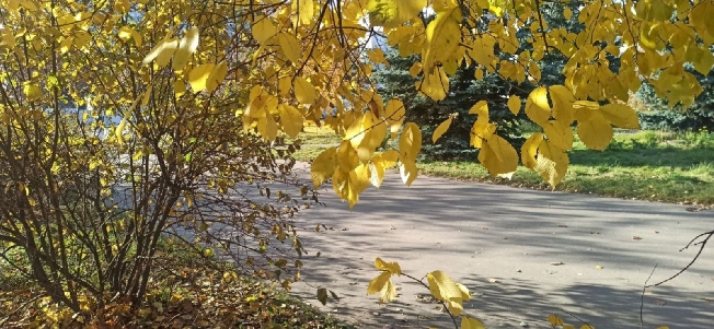 Озвучили позитивный прогноз для жителей Ивановской области на сентябрь 2026 года