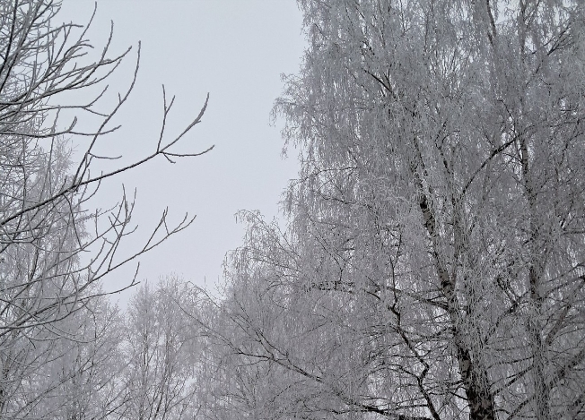 Появился позитивный прогноз на декабрь 2026 года для жителей Ивановской области