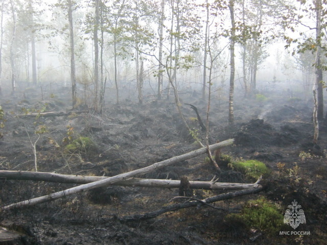 В Ивановской области 18 апреля произошёл первый лесной пожар