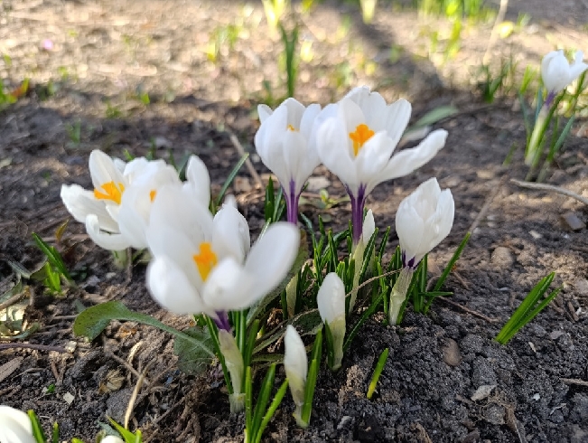 ������ � ���������� ������� �������� ������