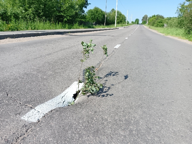 Разлом появился на дороге в одном из малых городов Ивановской области 