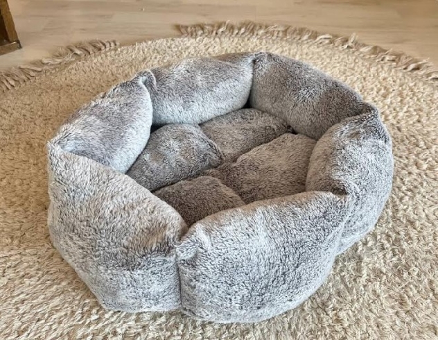 Платье-лежанку создали в преддверии Дня кошек в Ивановской области