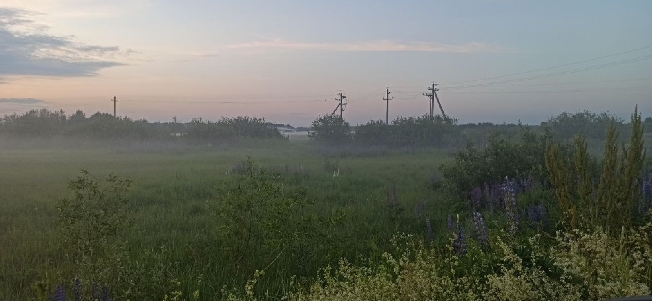 Участники СВО из Ивановской области могут бесплатно получить землю в любом районе