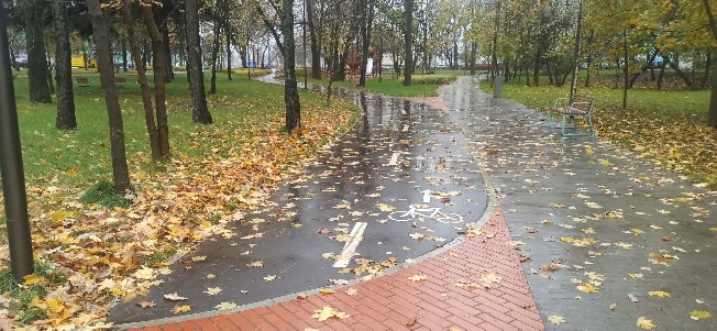 Синоптики отложили приход зимы в Ивановскую область