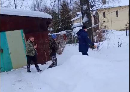 В одном из городов Ивановской области поймали рысь