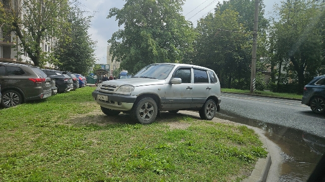 Оштрафованные ивановские водители продолжают парковать автомобили на газонах