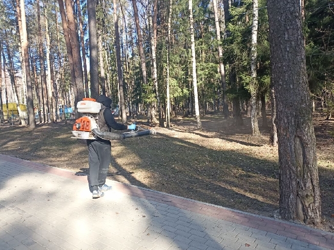 В Иванове в парке Харинка устроили противоклещевую обработку