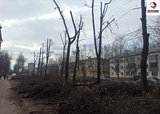 ��-�� ���� ������� ����������� ����� ��������� ��������