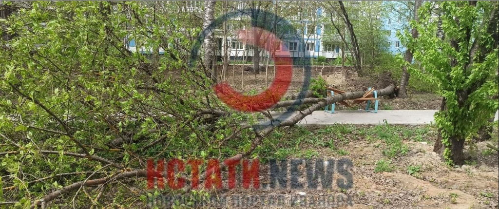 ����� � �����������-18.JPG