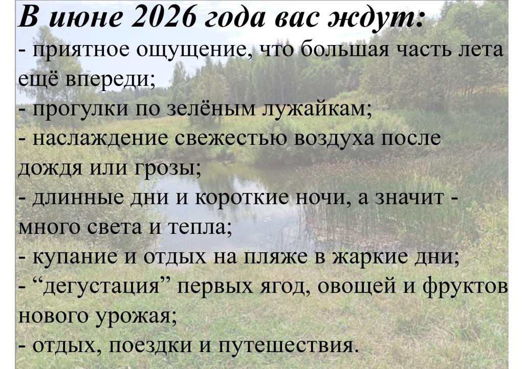 ����-2026.jpg