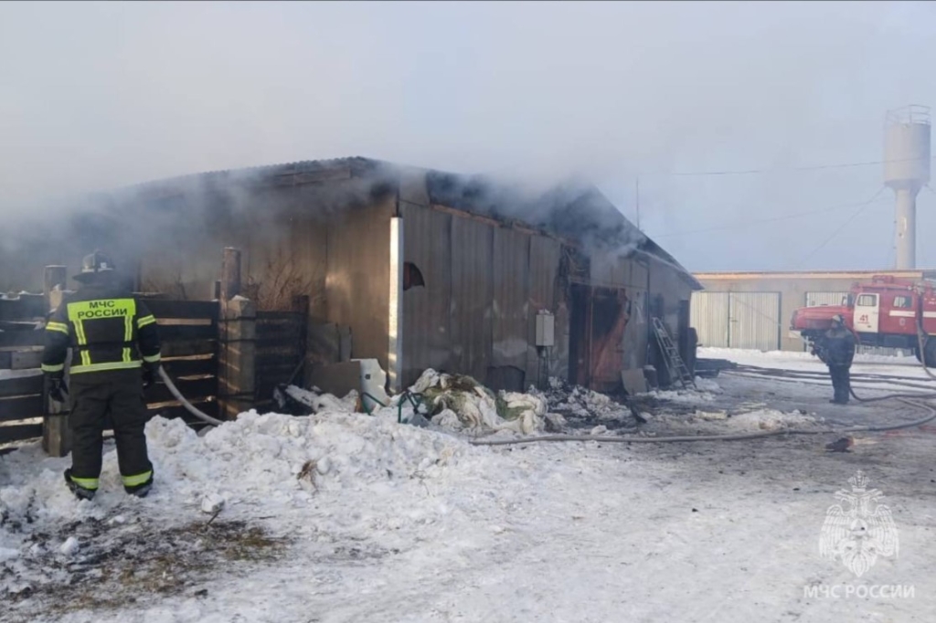Пожар-5.jpg Пожар-5.jpg