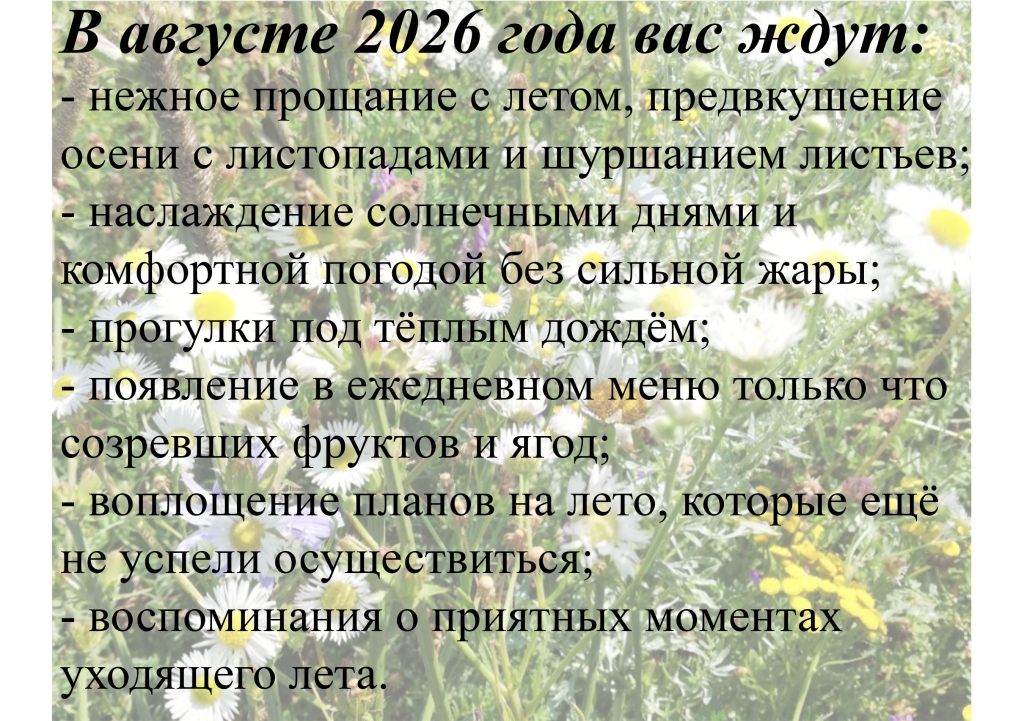 ������ 2026-1.jpg