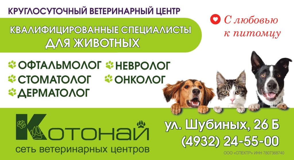 ��������� ������ �������.jpg