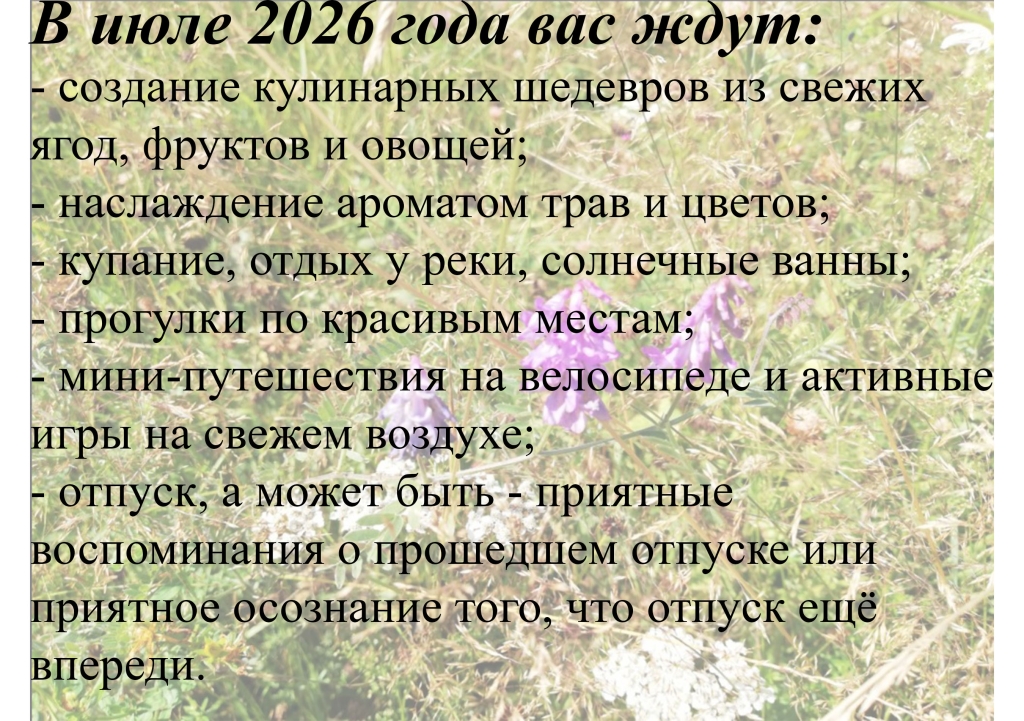 ���� 2026.jpg