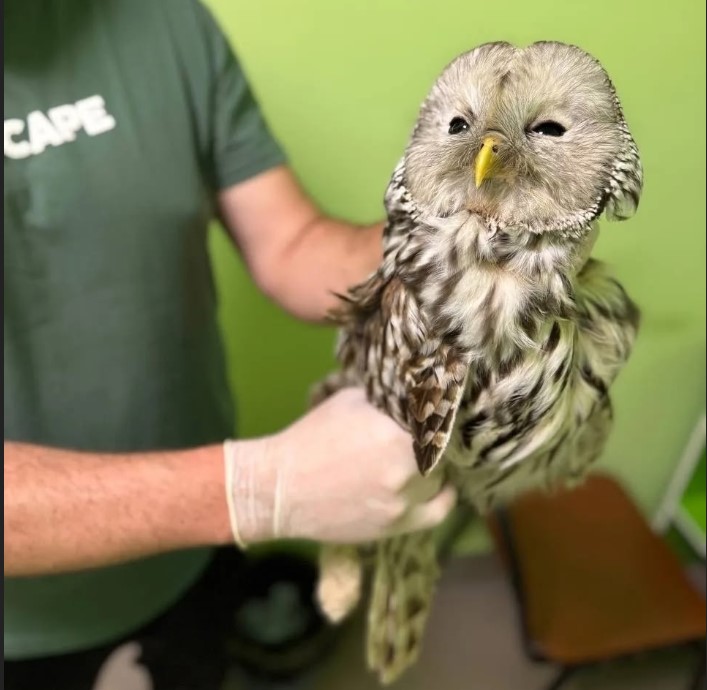 �������.jpg